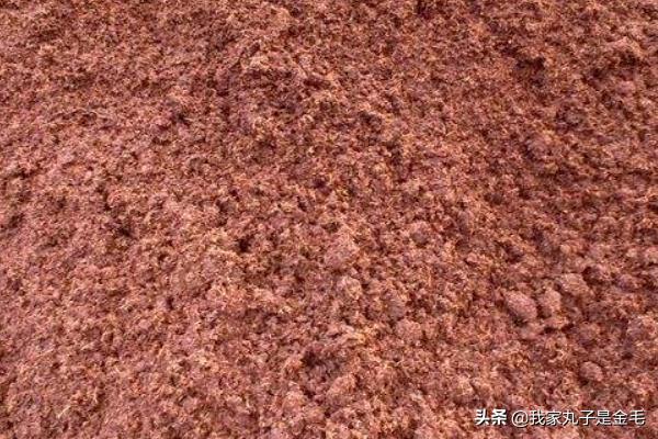 饲料发酵品质-饲料发酵品质标准