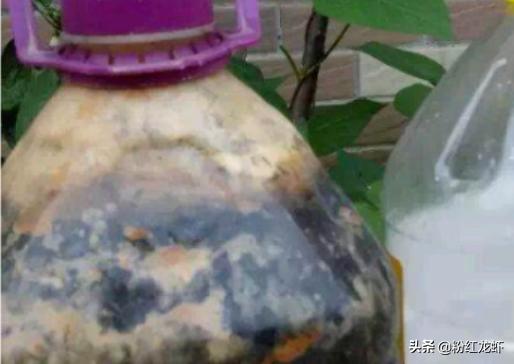 豆浆剩下的豆渣怎么吃(图2)