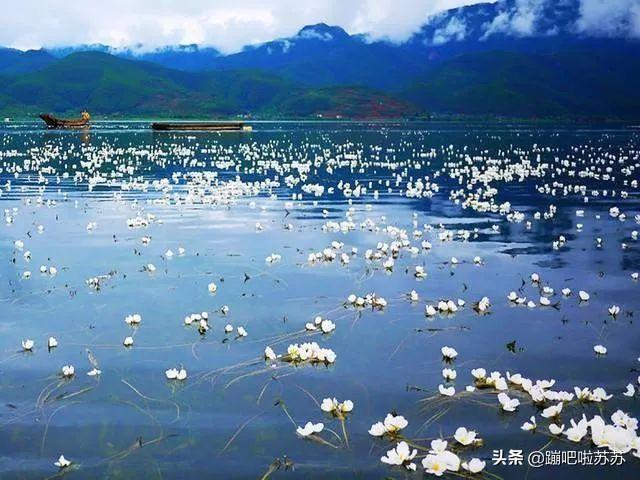 丽江哪些是必去景点的(图13)