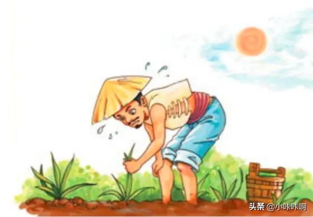 拔苗助长的故事_拔苗助长的故事完整版