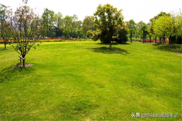 投影屏足球照片怎么拍