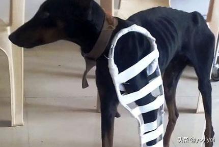 保定市破伤风多少钱一针