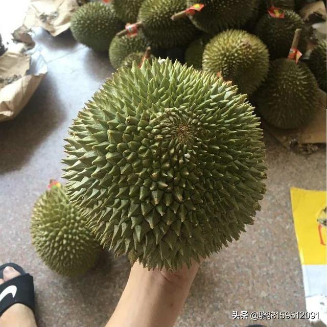 宁陵县医疗保险中心电话_宁陵县2024年医险缴费何时停止？