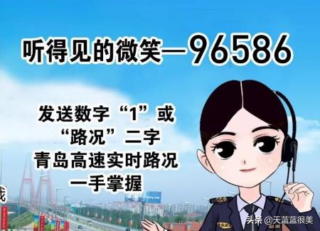 青岛国税局税税通 青岛国税税税通官方下载-第1张图片-随然AIR主题