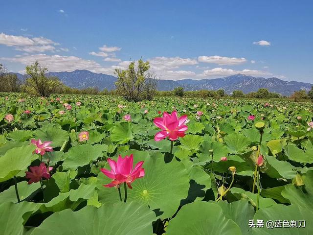 北京两日游必去景点推荐(图9)