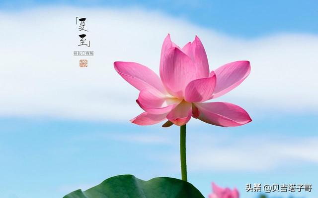 2025新澳门历史开奖查询和今天白天一年最长与今年白天最长的一天