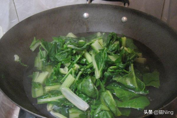 中午炒牛皮菜的做法大全(图6)