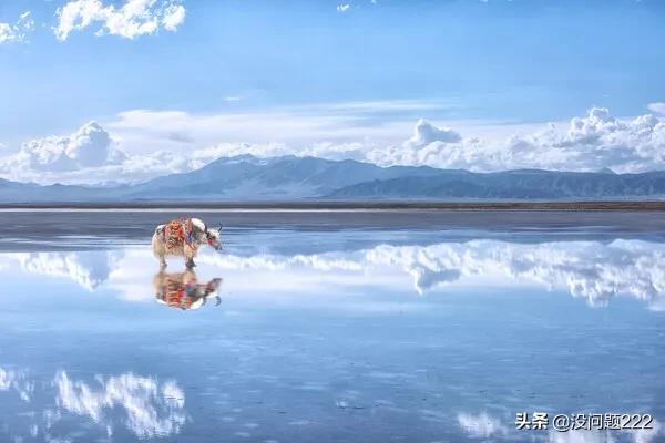 青海属于哪里_青海属于哪里哪个省份