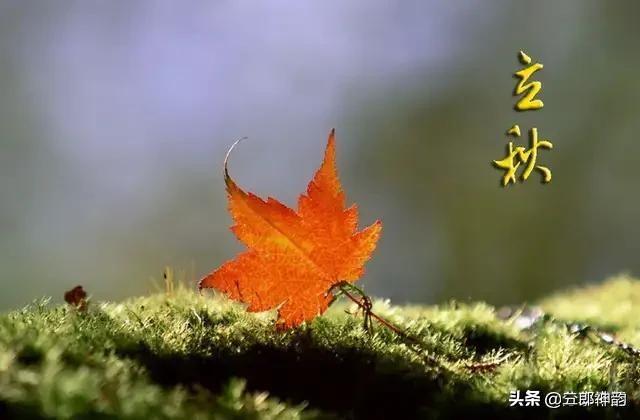 书籍对人生的影响（书籍对于人类的意义）