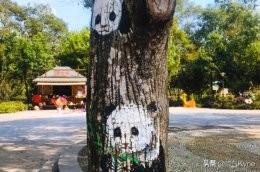 广西万佛湖旅游攻略路线， 广西万佛湖旅游攻略路线图