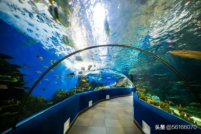 合肥什么地方最适合带小孩玩？