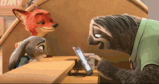 树懒为什么那么慢 视频_树懒为什么那么卡