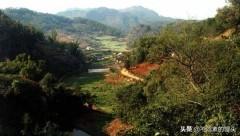 普洱市江城哈尼族彝族自治县纸飞机账号购买渠道