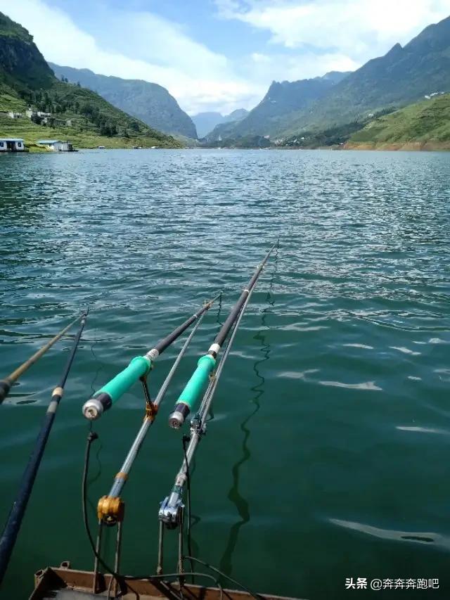 热带鱼要怎么吃才好吃(图18)