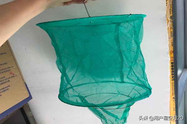 悬挂式捕蝇笼放置技巧,第2张