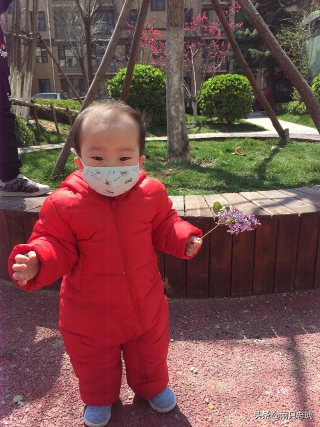 婴儿拉肚子是怎么回事,第1张