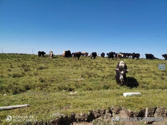 张掖嘉峪关旅游路线攻略， 张掖嘉峪关旅游路线攻略图