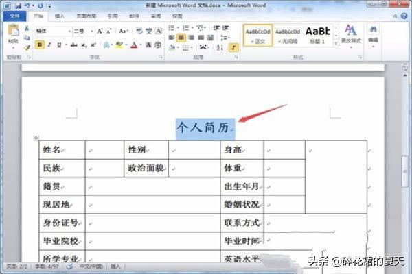 个人简历表格样本 简历表电子版免费