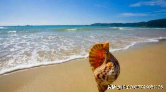 婚庆文案茂名，婚庆文案短句