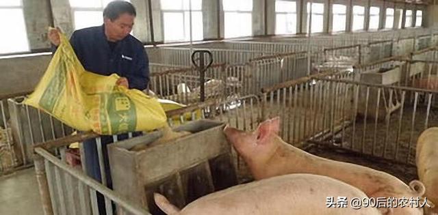 广西百色小猪价格-广西百色市养猪场的小猪的价格