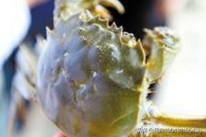 吃的大米怎么存放不发霉(图4)