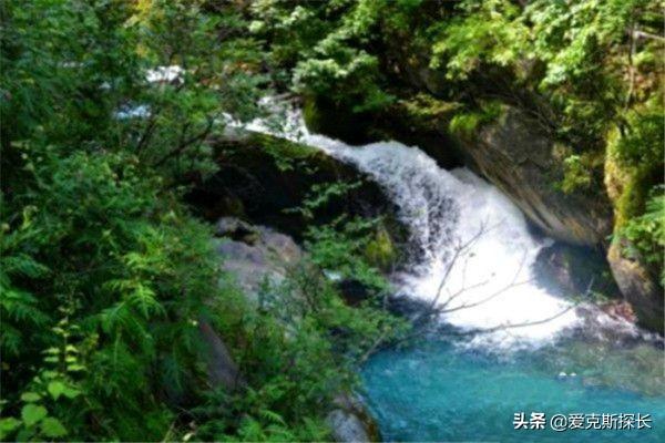 神农架必去的景点介绍(图4)