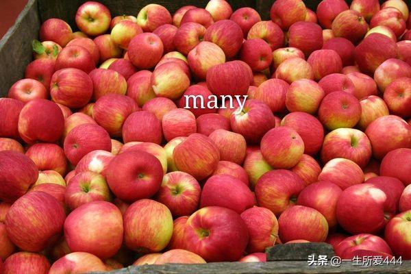 many怎么讀-many怎么讀英語