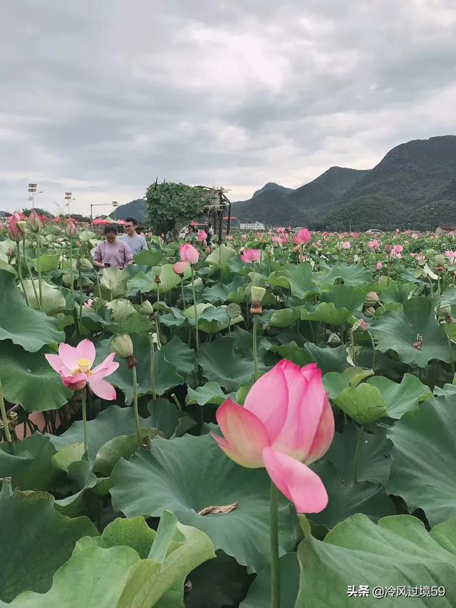 腾冲有什么好玩的地方？哪些景点必去？：腾冲旅游景点