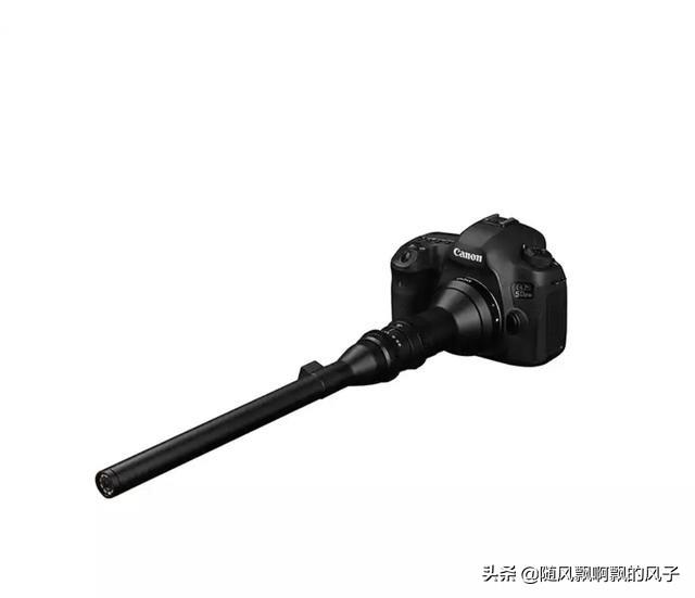 拍微距为什么用长焦？：长焦微距
