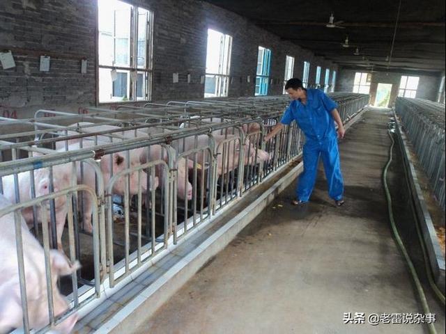 参加畜牧培训体会心得 新大话西游2采矿种植畜牧哪个挣钱快，麻烦说的详细点，整体收益那个高？