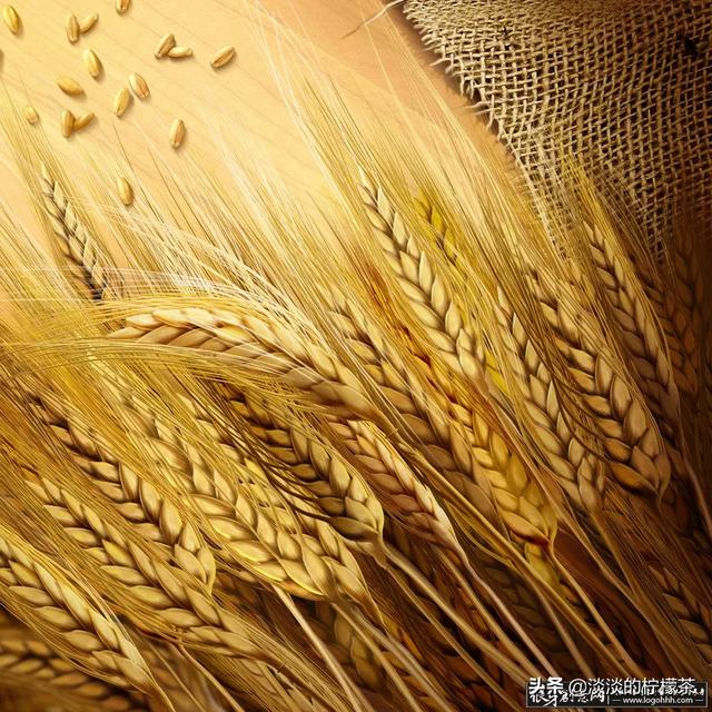 未来什么行业最有发展前景(图11)