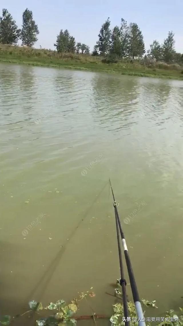 如何更好的钓鱼?如何更好的钓鱼钓到鱼!