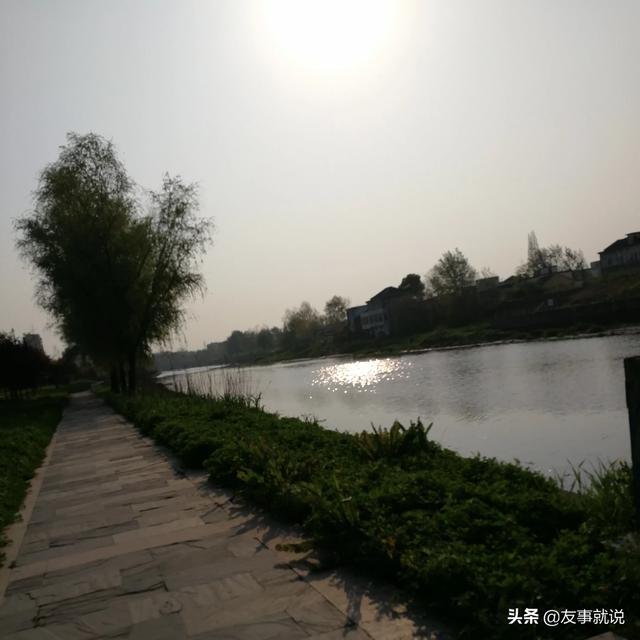 怎么联系自己的保险公司电话有车牌号怎么查入的哪家保险公司？
