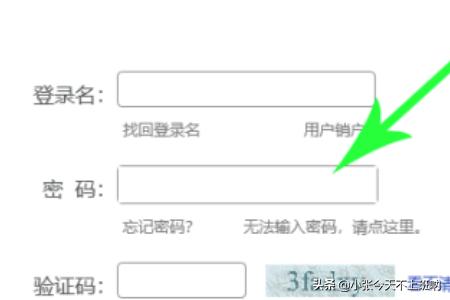 怎么搭建网站分析平台