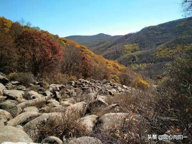 深圳出发三日游推荐-深圳出发三日游推荐路线