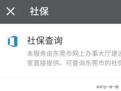 东莞社保网上服务平台，东莞社保网上服务平台网址