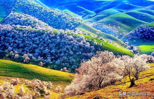 云南昆明市呈贡区摘橙子民宿电话号码,昆明周边橙子采摘