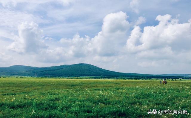 买车为什么要打保险单子-买车是不是上了牌才要购置税发票和行驶证？