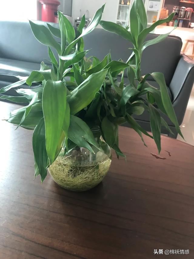 谈恋爱的地方叫什么？：相爱的地方