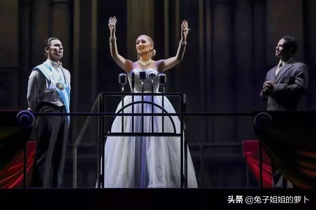 猫的故事简介（猫的的故事）