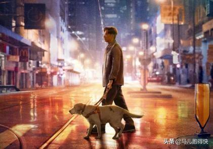 除了《犬王》和《一条狗的使命》，还有哪些关于狗的电影比较好看感人