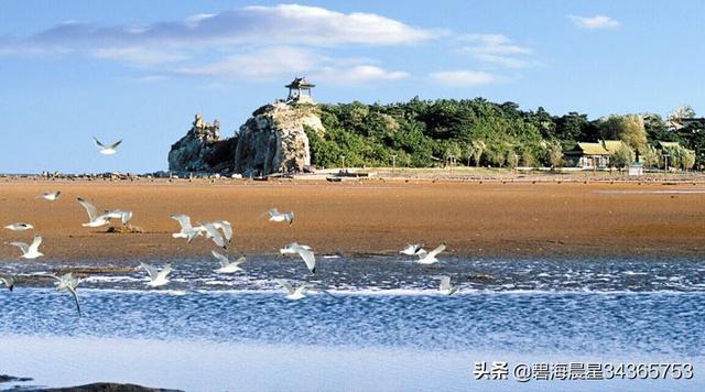 河北绿荫旅游景点大全， 河北绿荫旅游景点大全图片