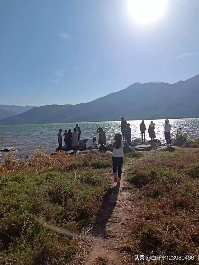 云南昆明市晋宁区吃刨猪汤农家乐预定电话,晋宁扒猪脚图片