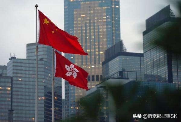 中國寵物狗數量?中國寵物狗數量統計!