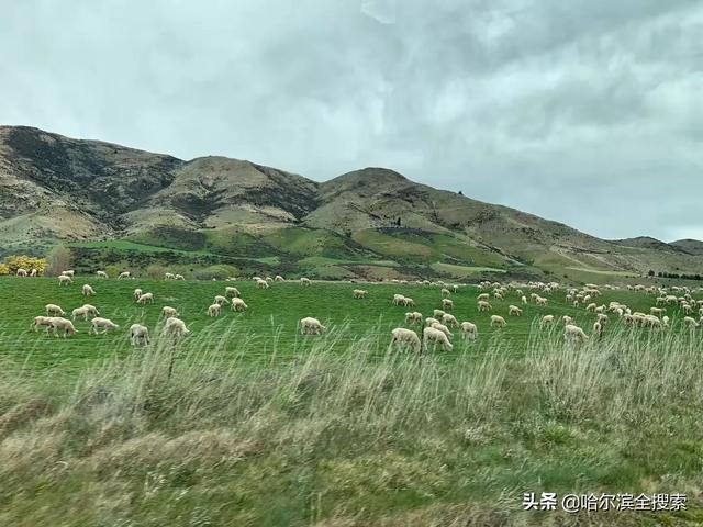 天气不错旅游景点大全， 天气不错旅游景点大全图片