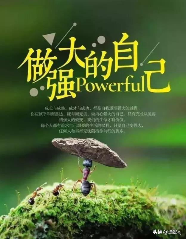 人生没目标怎么办(图4)
