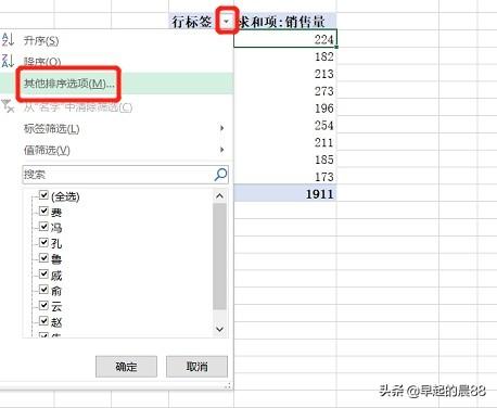 数据透视表怎么排序