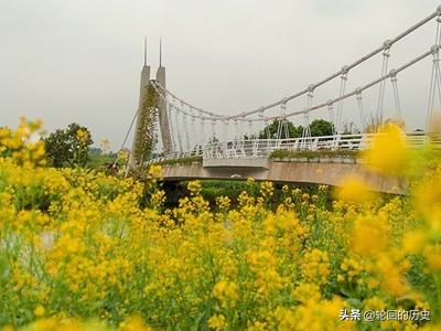 广州市有什么赏花