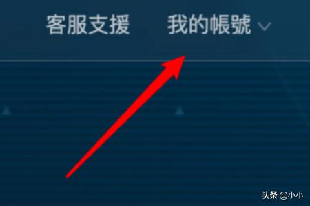 战网没有手机国际怎么注册？暴雪战网怎么注册国际服？