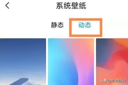 iphone怎么用视频做手机壁纸-iphone怎么用视频做手机壁纸图片